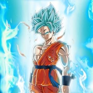 Meet your Posher, Jonas